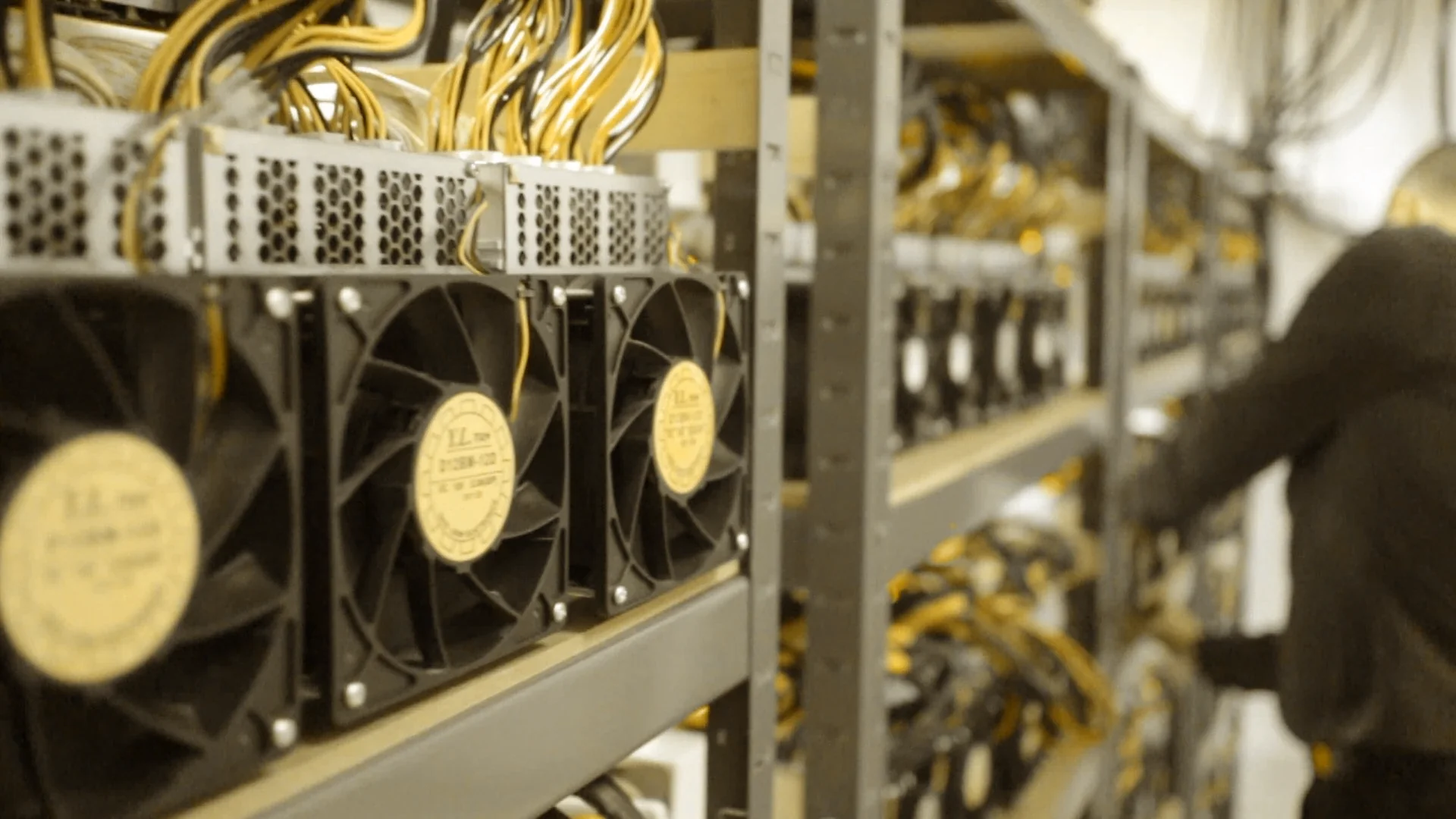 Asic miner datacenter
