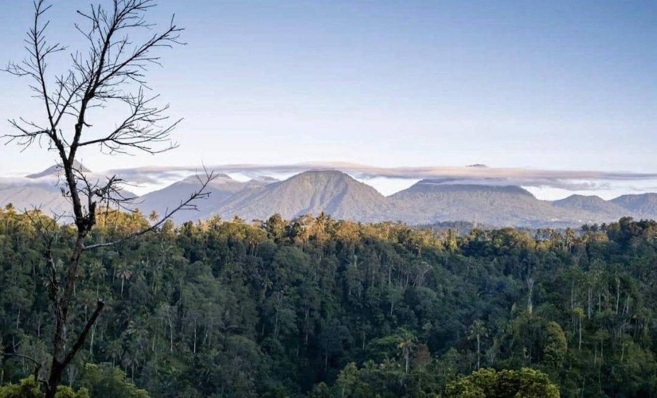 Land plot 4,000 m² in Buahan, Ubud area, Leasehold