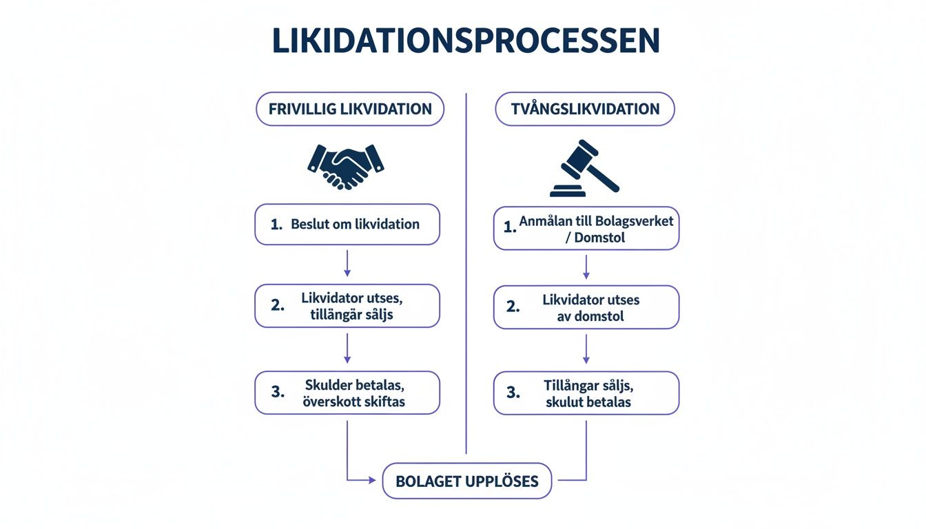 Flödesschema som illustrerar processen för företags likvidation, både frivillig och tvångsmässig, med slutlig upplösning.