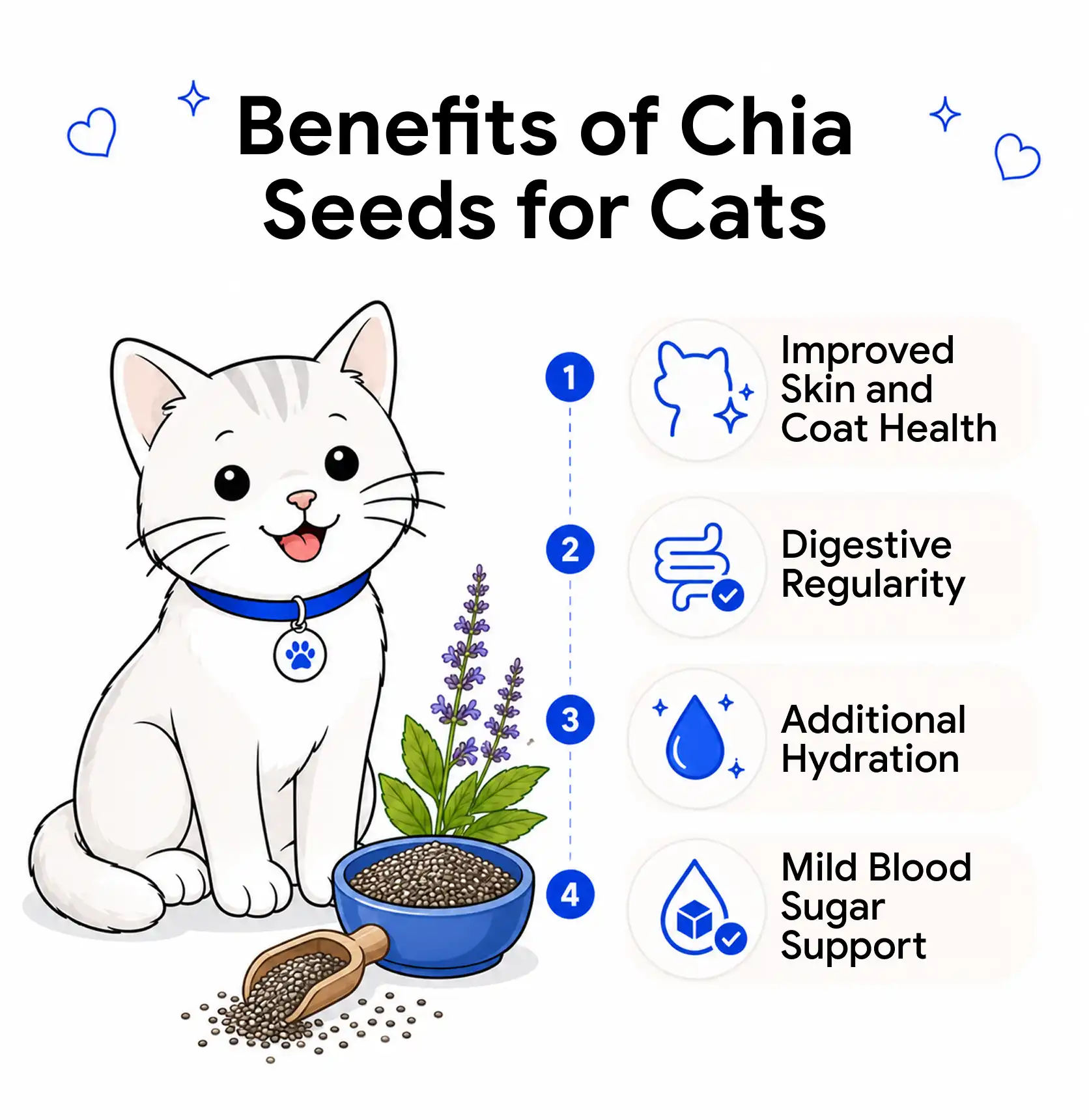 An image showing the benefits of chia seeds for cats.