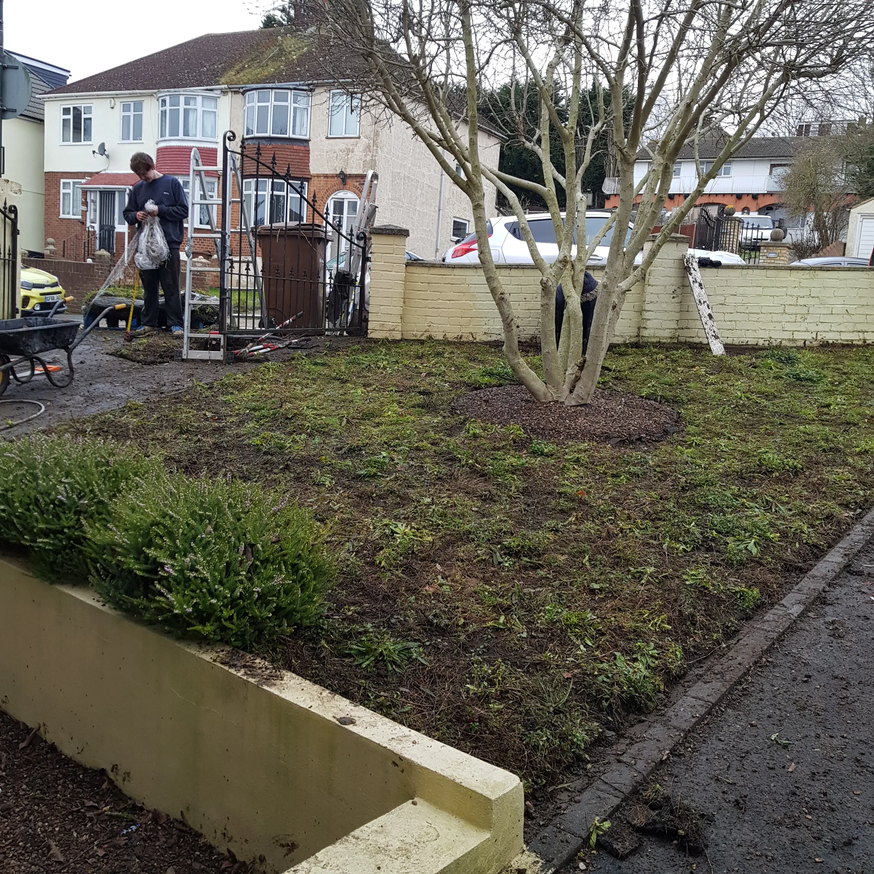 A residential garden area with a tree, surrounded by a low wall and a path, featuring freshly turned soil.