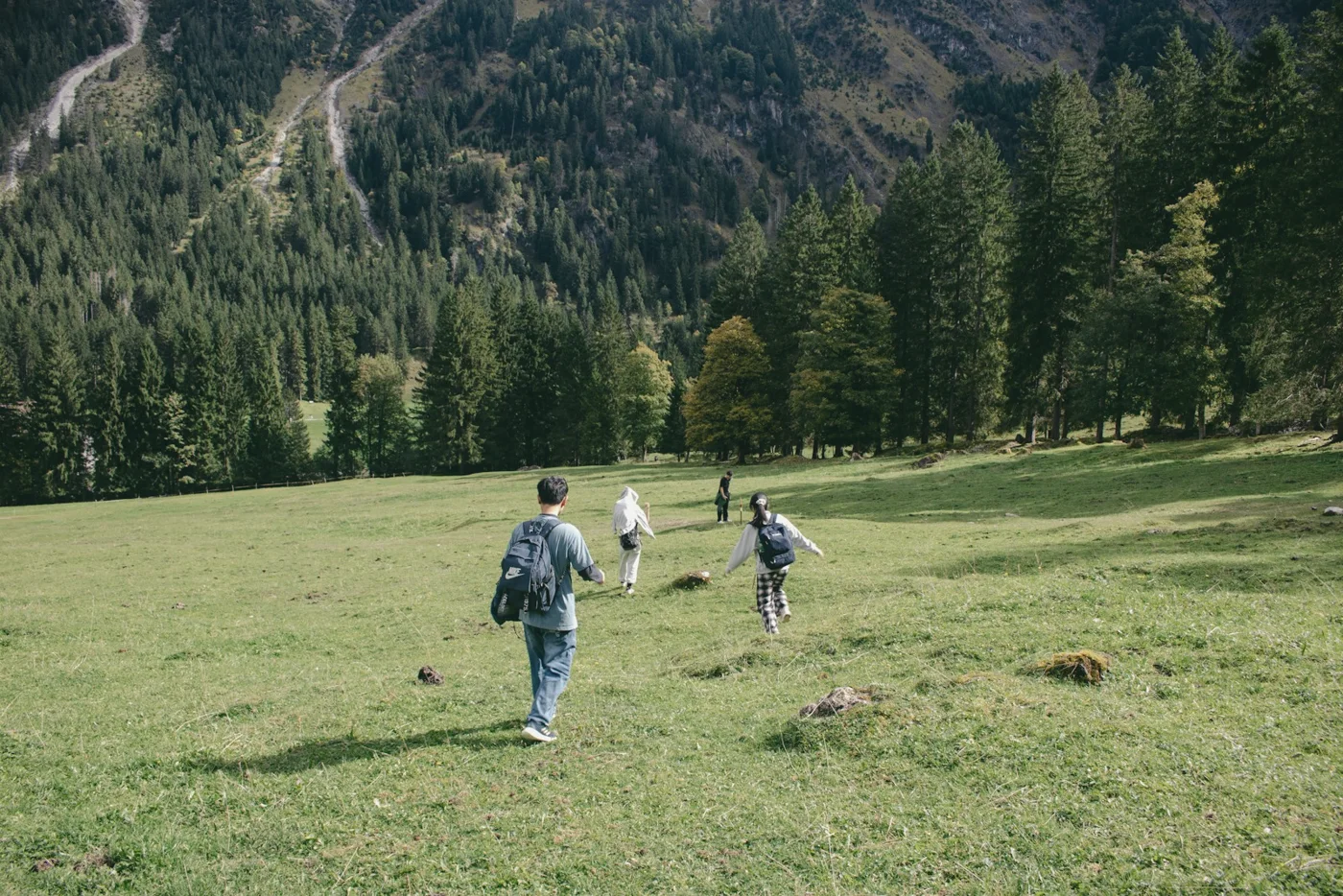 Hikers walking across a green meadow