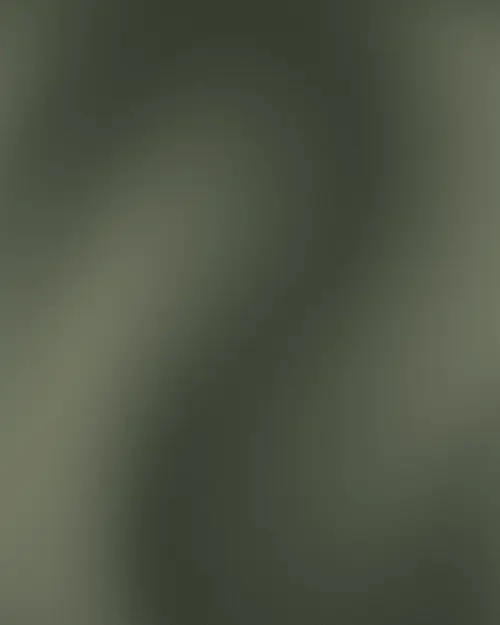 A smooth, abstract gray gradient creates a subtle, wavy pattern reminiscent of a gentle, flowing mist or smoke.
