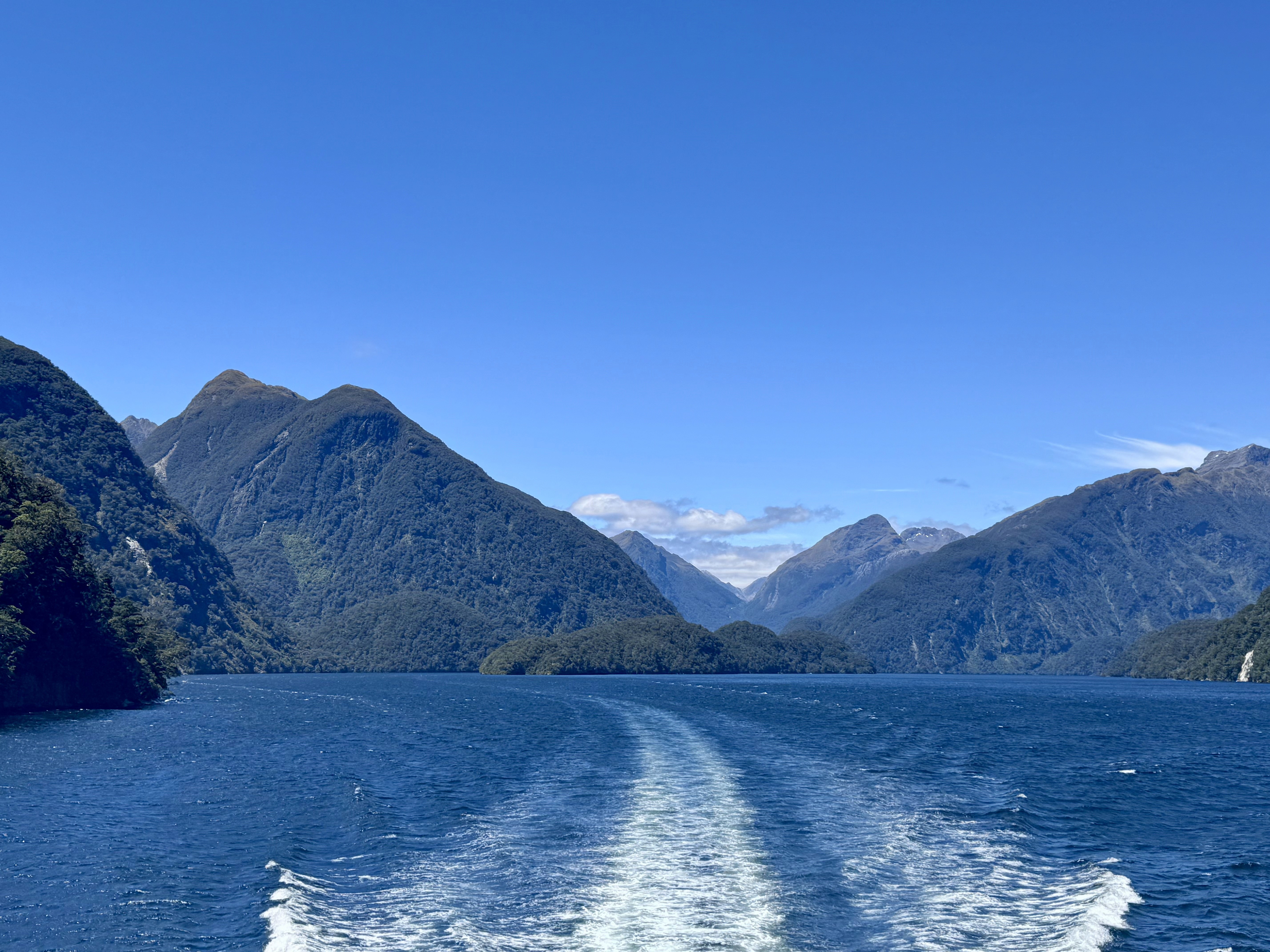 Doubtful Sound again