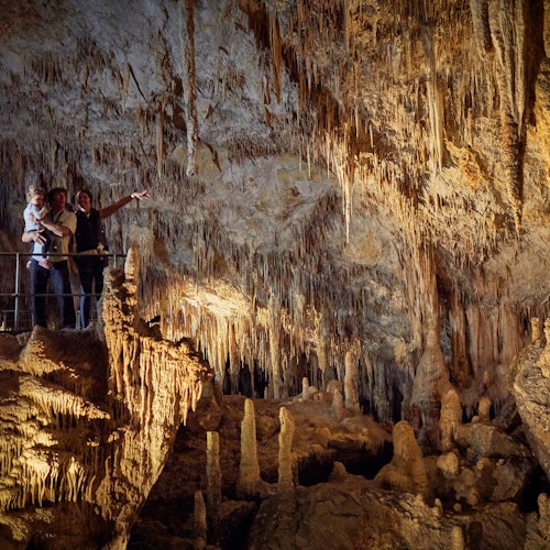 Samostalni obilasci Mammoth Cave omogućuju vam da u njezinim dvoranama istražujete vlastitim tempom.