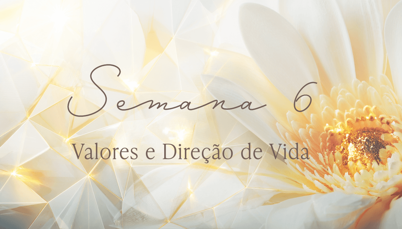 Semana 6