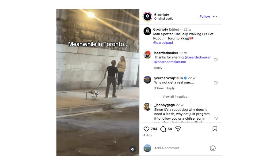 Walking Robot Dog Toronto