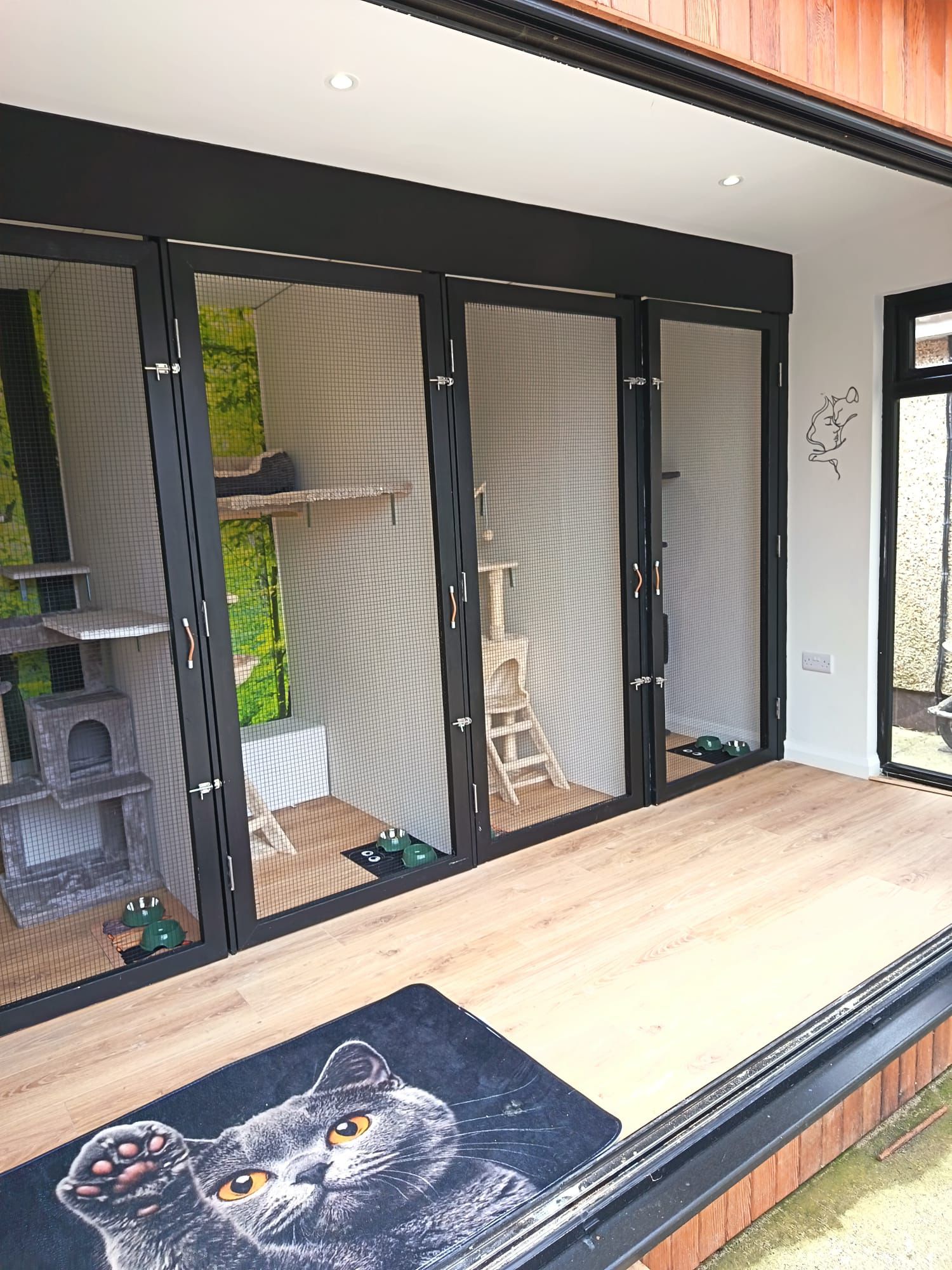 Cattery for Olivia's cattery in Navan Co.Meath