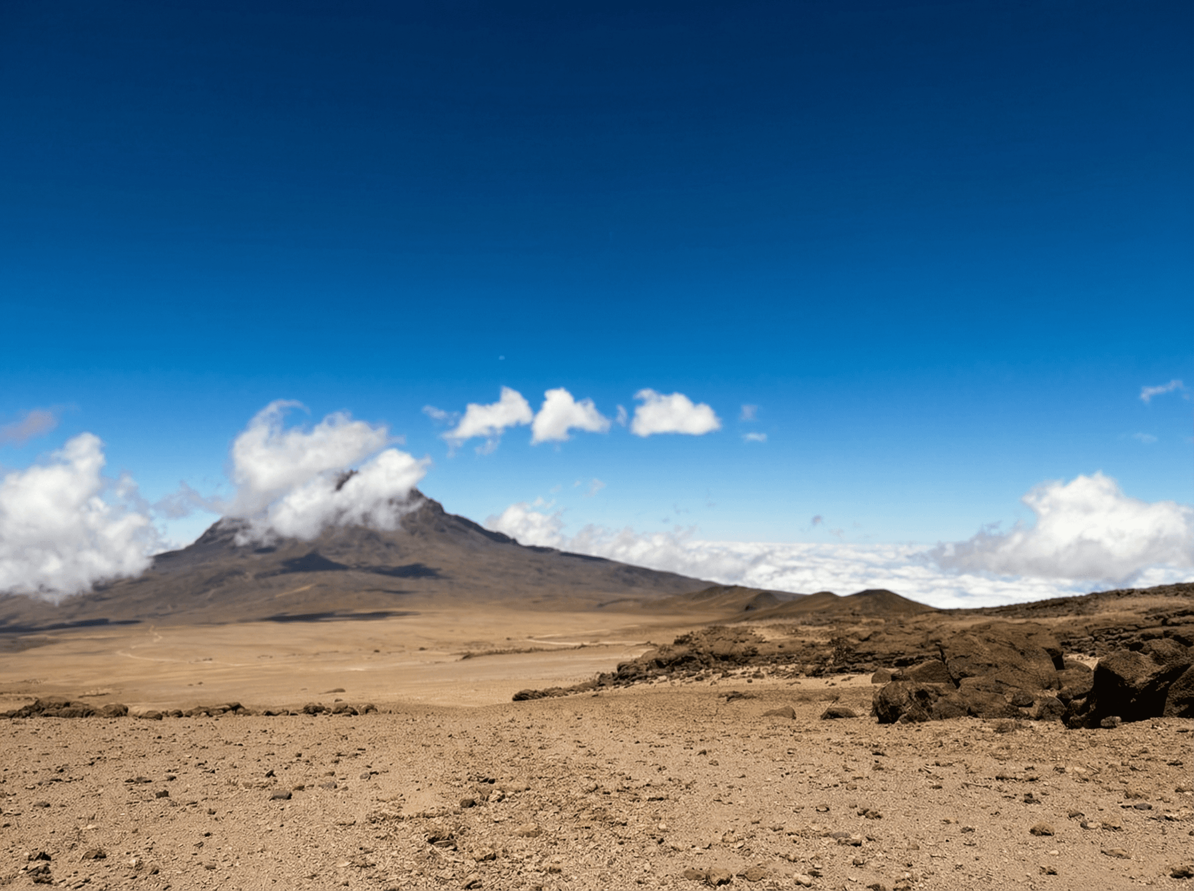 Majestic sandstone formations in AlUla glowing under the afternoon sun, showcasing the desert’s timeless beauty.