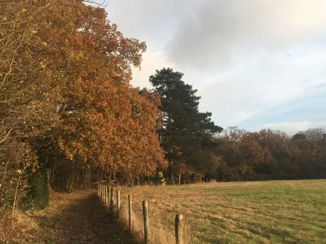A smiling man with curly hair is sitting at a desk, looking at the camera, with a laptop and a lamp in the background.