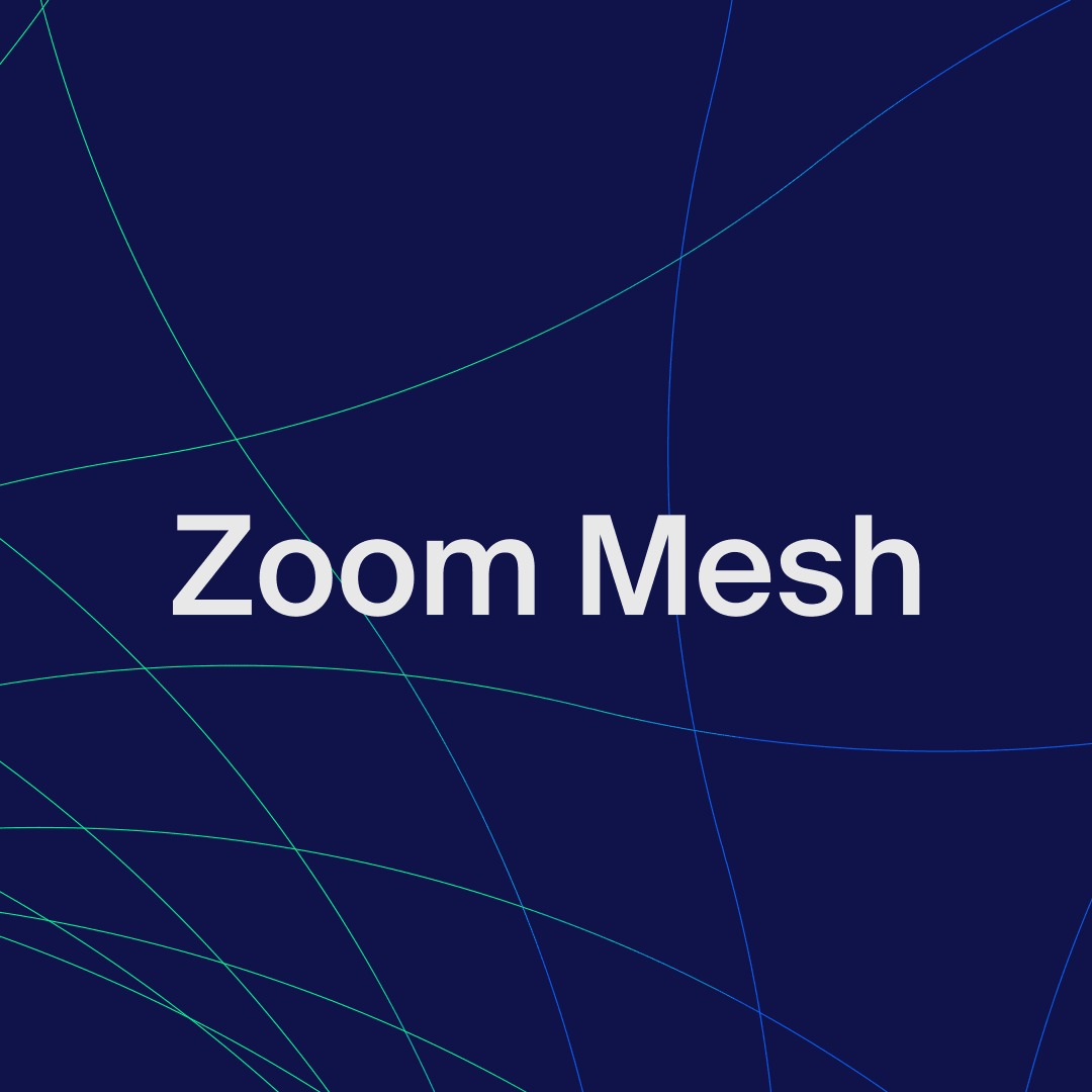 Zoom Mesh logo with mesh design in the background