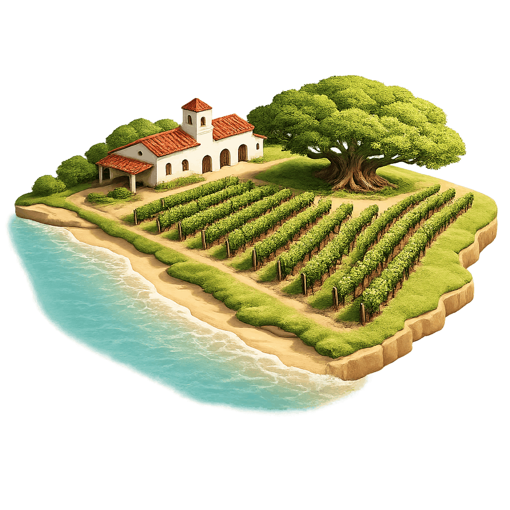 Artistic illustration of the Montevideo wine region.