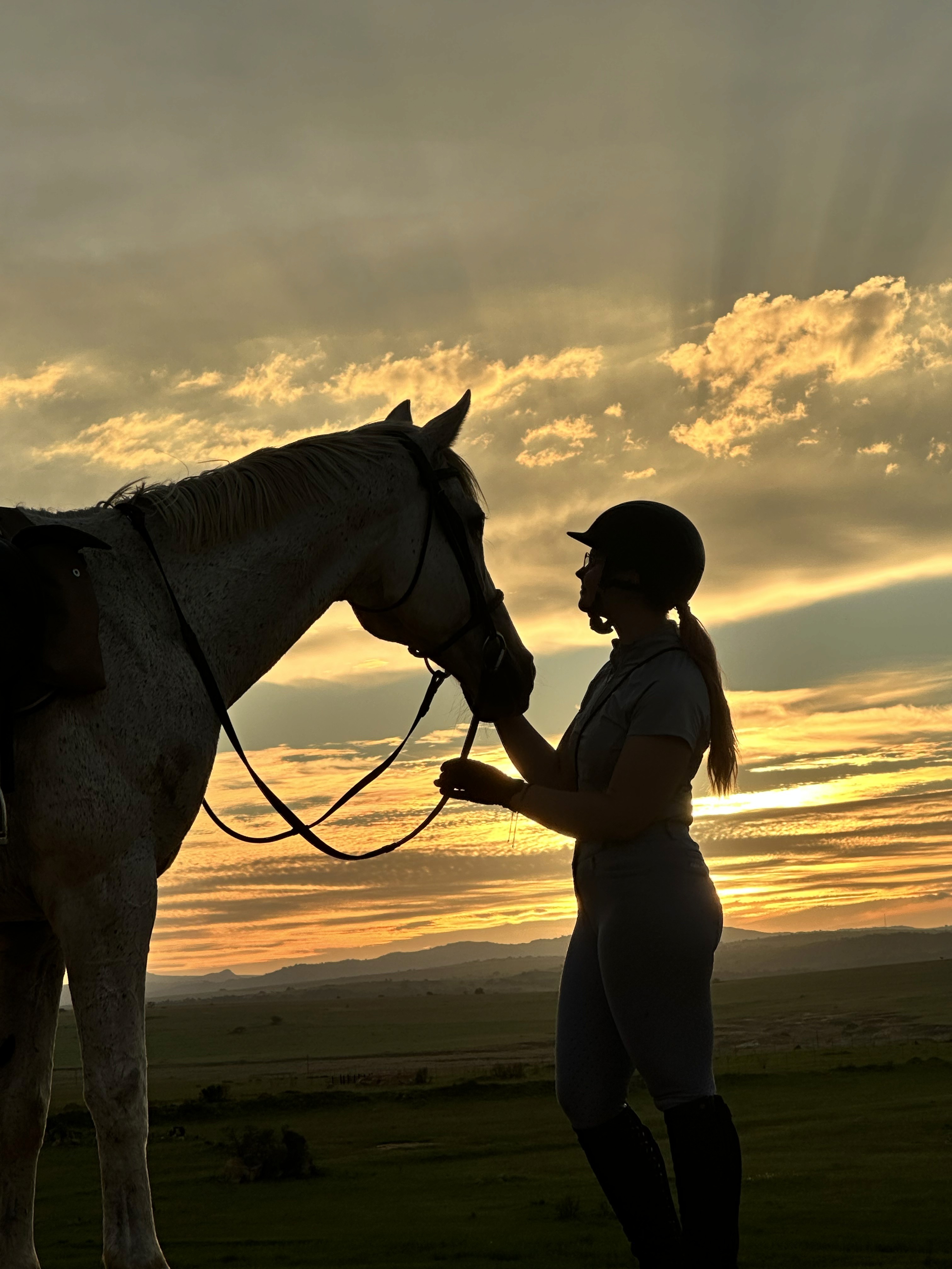 Kilimanjaro Elephant Ride, Arusha National Park, Tanzania – elefant i högt gräs tittar mot kameran, medan fem ryttare till häst på ridsafari i bakgrunden betraktar elefanten i ett grönt och frodigt landskap.