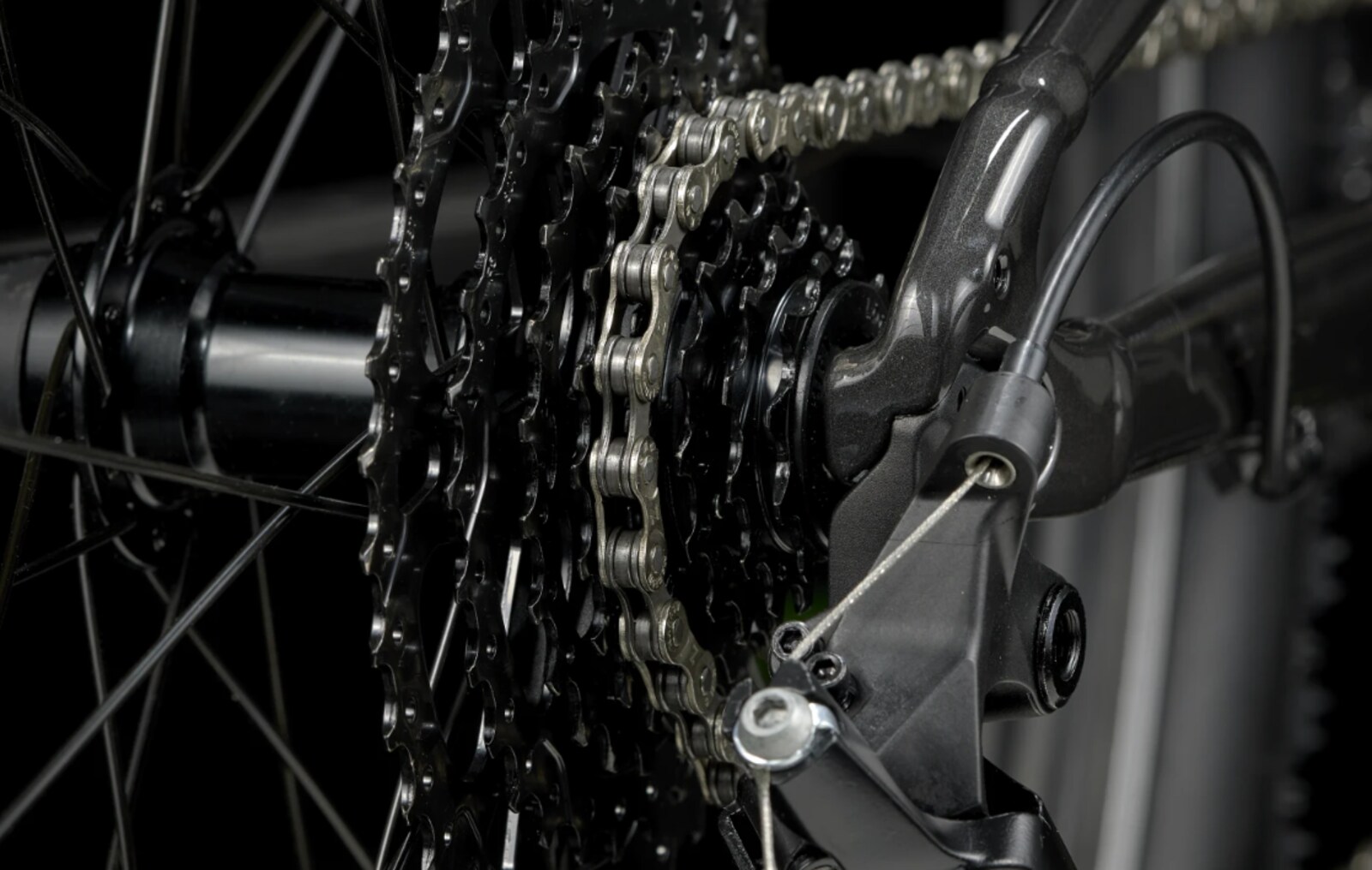 Trek Wahoo 26 Path