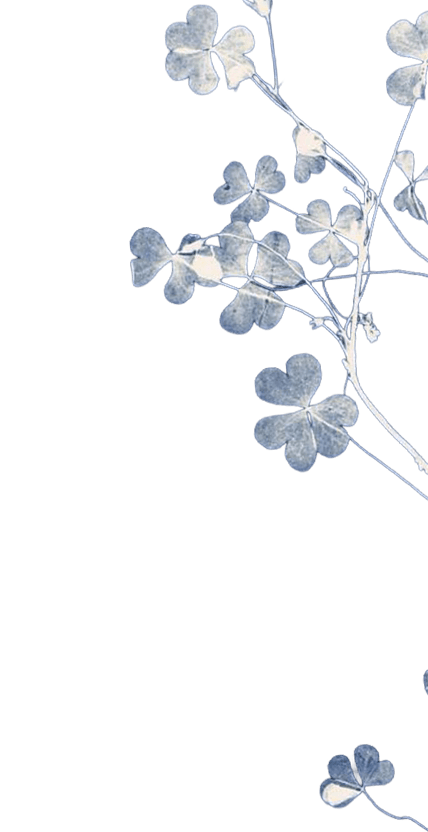 abstract orange butterfly with a light blue background