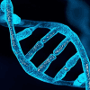 Genetic and family history factors that may increase lung cancer risk