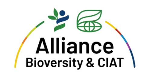 CIAT/Bioversity Alliance