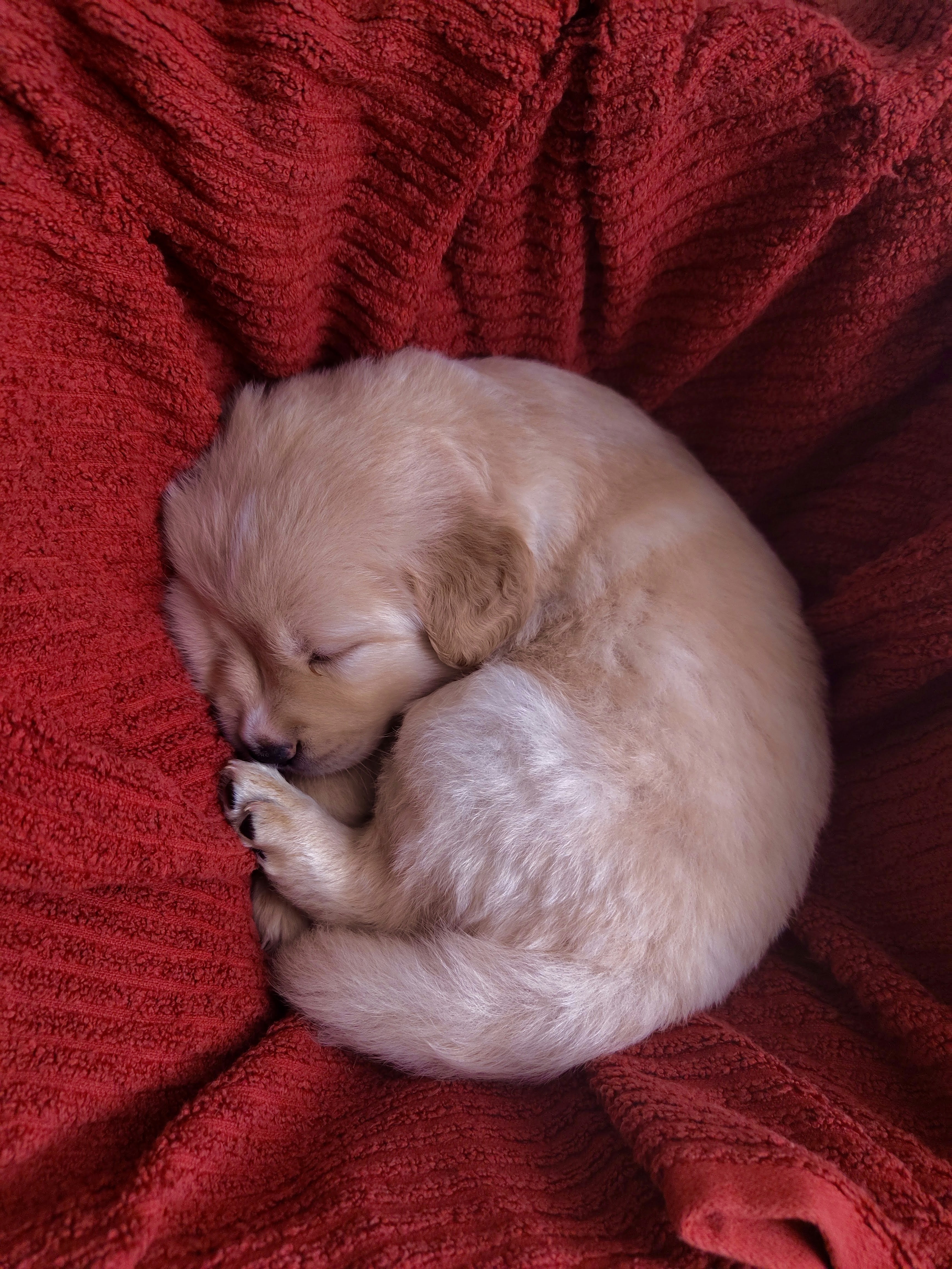Coastal Scene with Boats