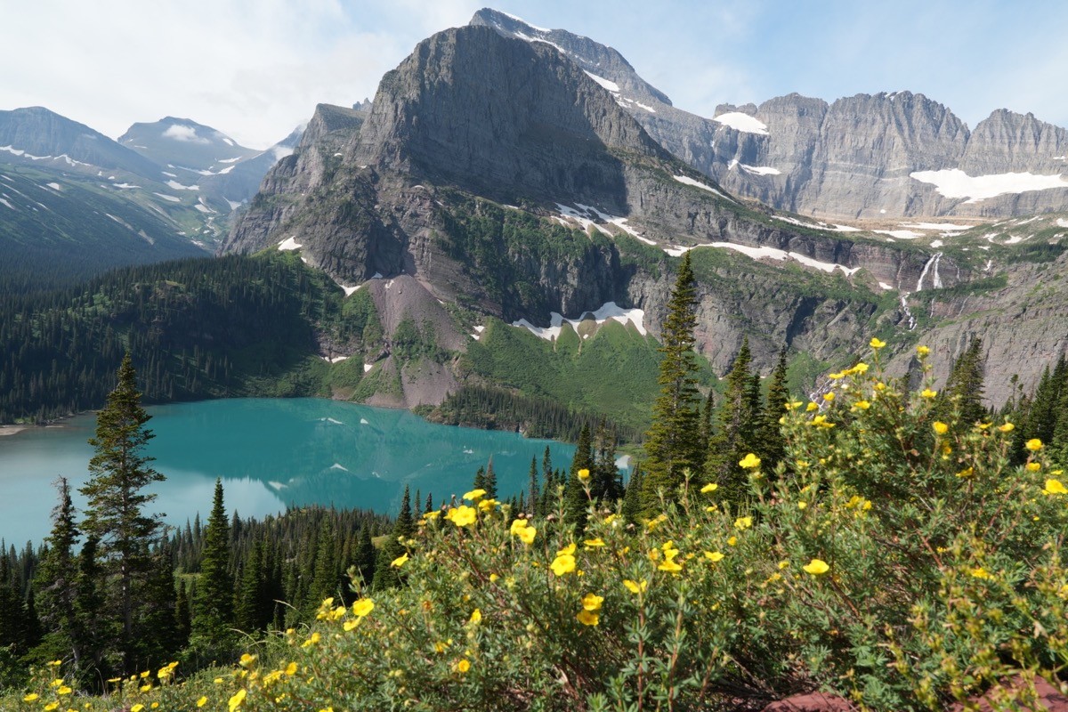Turquoise mountain lake framed by alpine peaks and yellow wildflowers