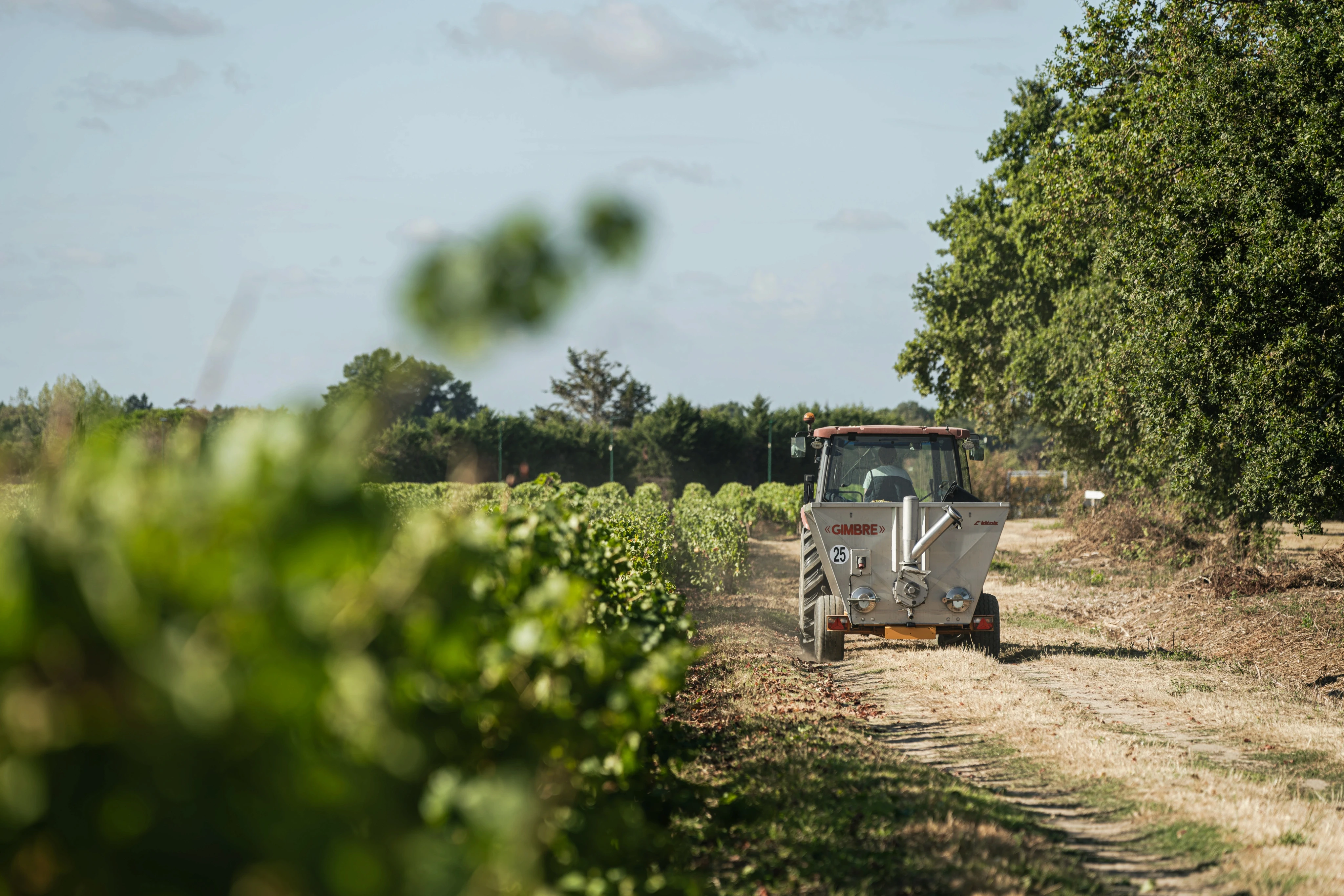 Tracteur dans une allée du vignoble du Haut Bourg