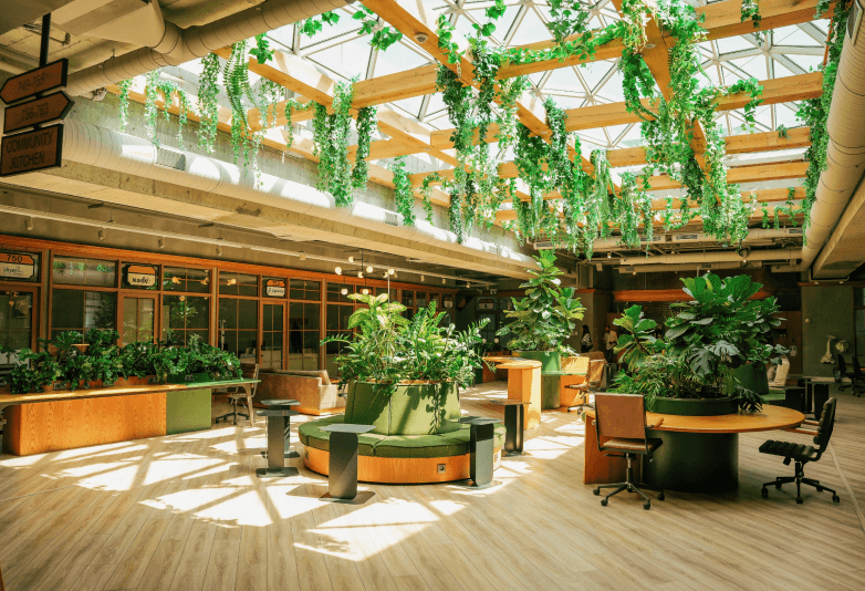 Ambiente corporativo decorado com plantas e luz do sol