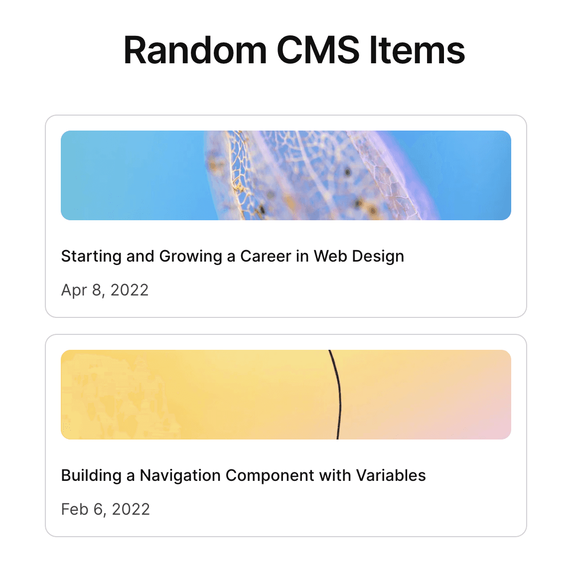 Random CMS Item