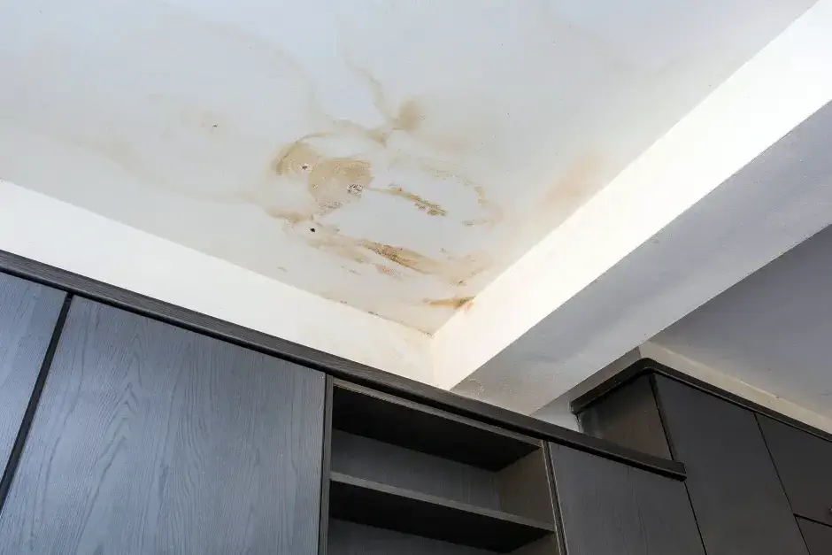 ceiling roof leak water stain