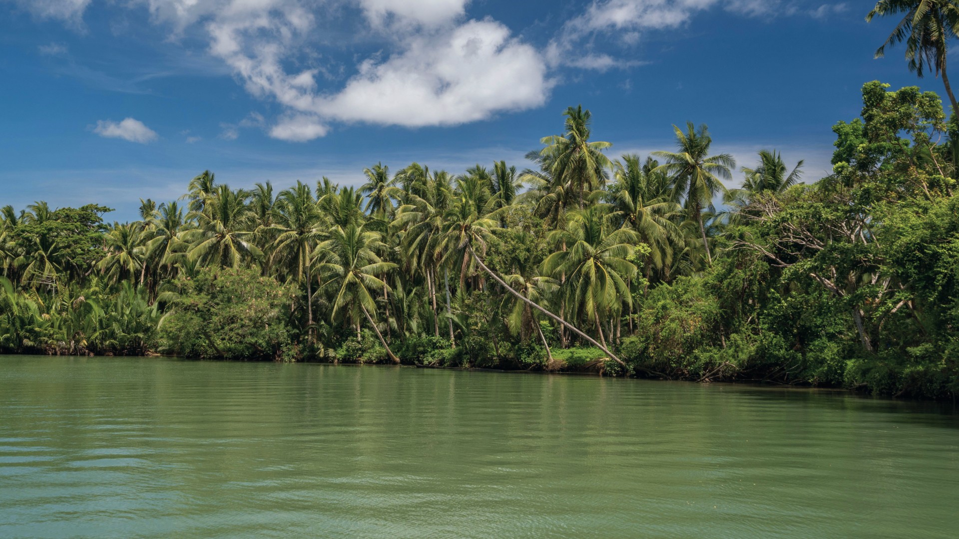 Mangrove lined lagoon in Belize