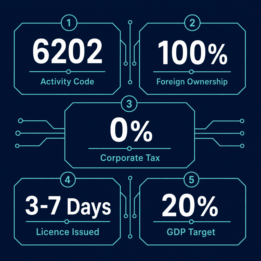 Infographic: How to Get a IT Consultancy Services Business License in Dubai