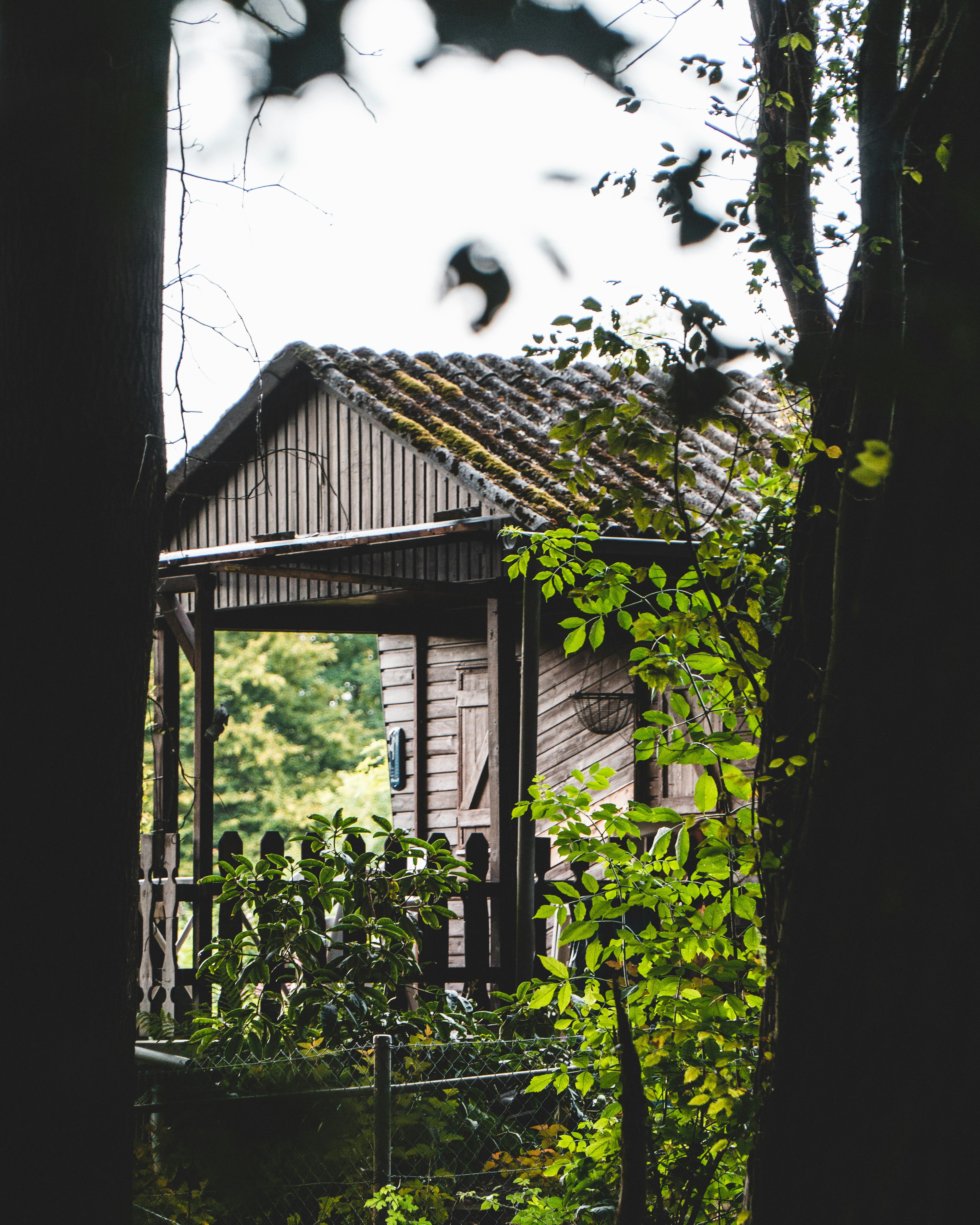 A small wooden cottage with a porch at the edge of the woods