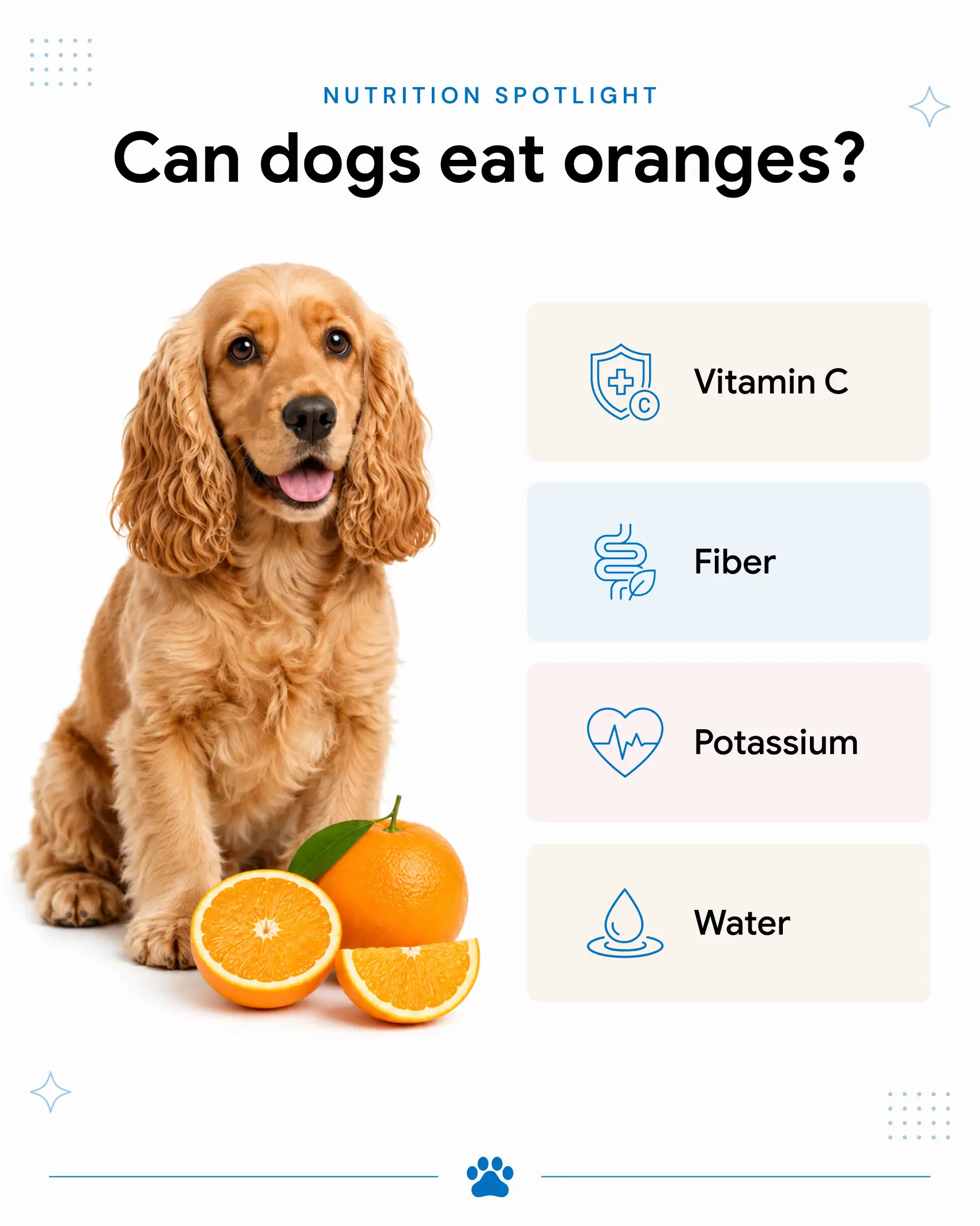 An inforgraphic showing the benefits of oranges for dogs.