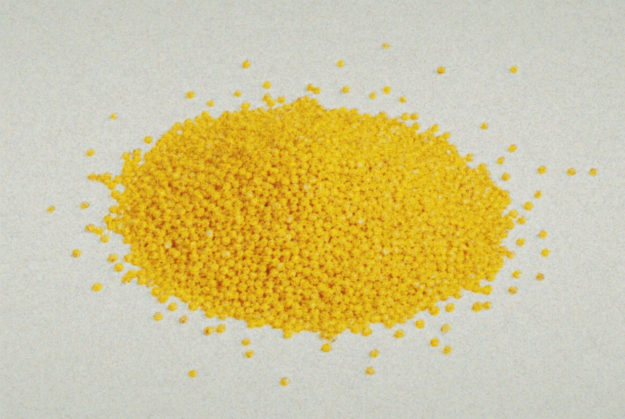 Millet