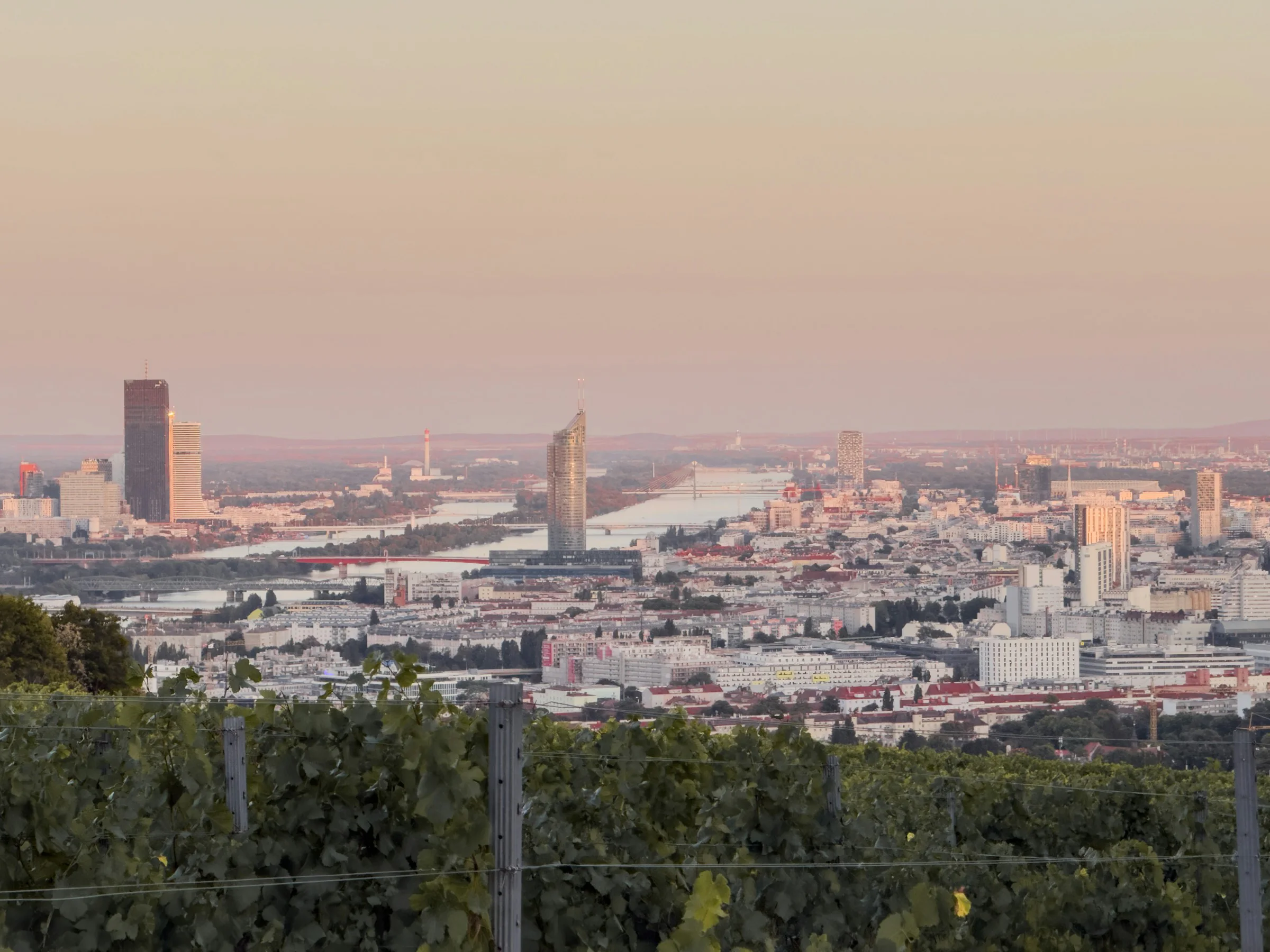 Wien, Blick aus den Weinbergen über die Donau mit Donau City im Abendlicht (Stadt allgemein)