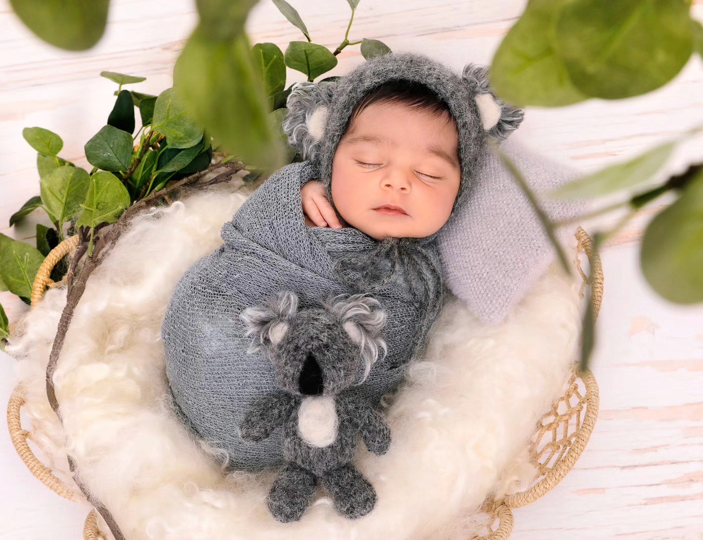 A peaceful infant photography shot captures a sleeping baby swaddled in gray knit fabric with a koala hat, nestled in a fluffy basket with greenery.