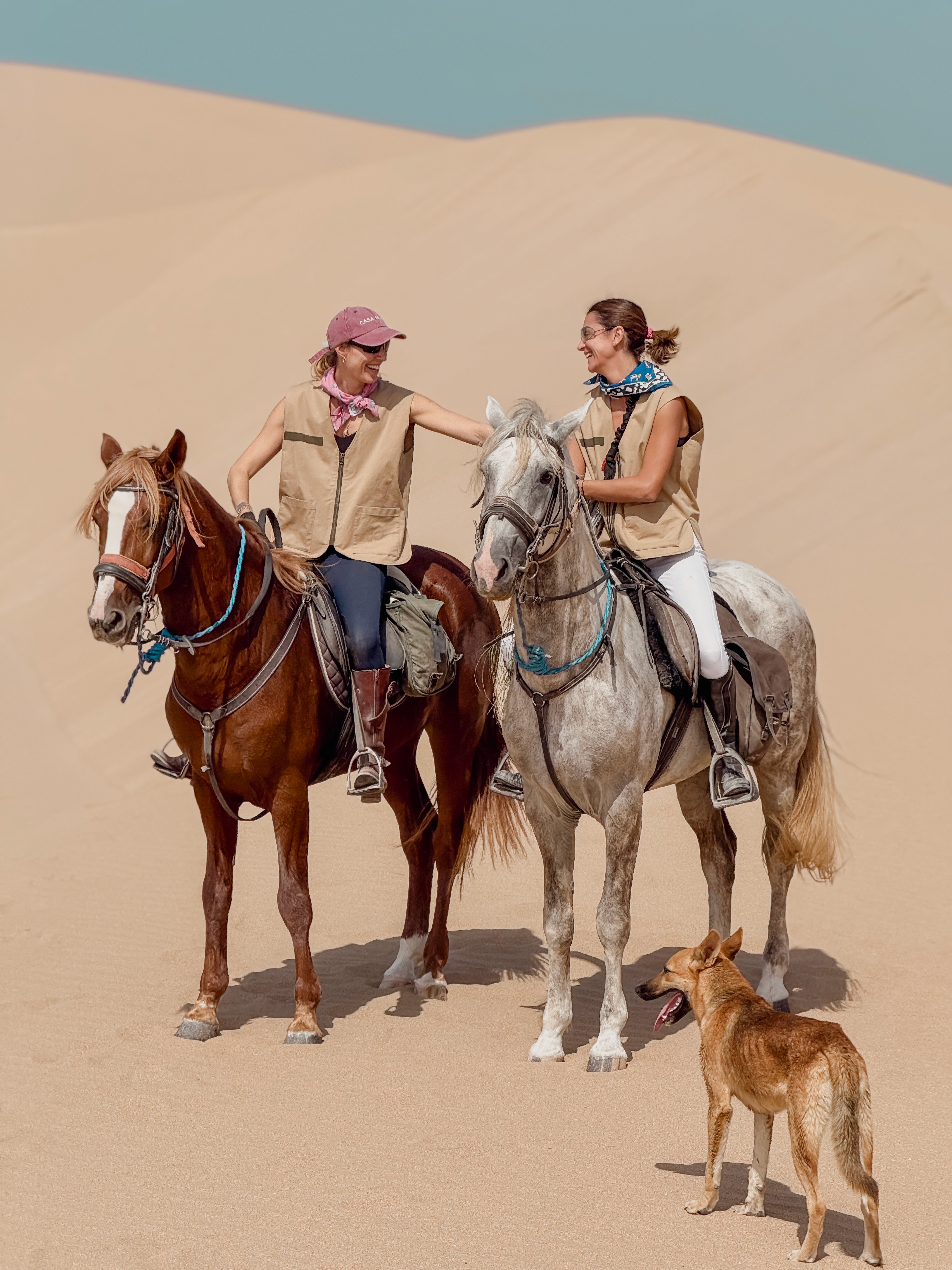 Horse and friends