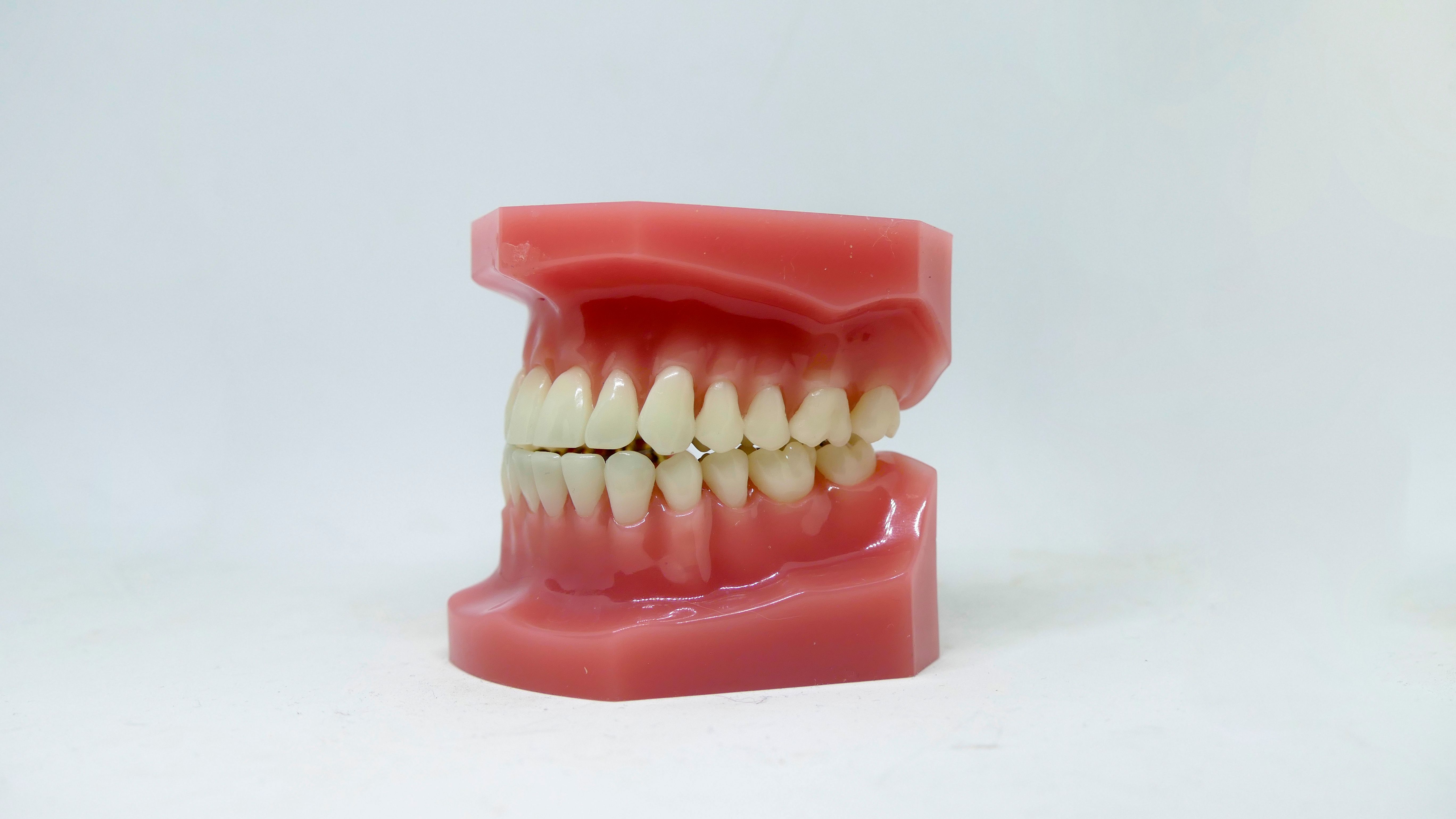 teeth