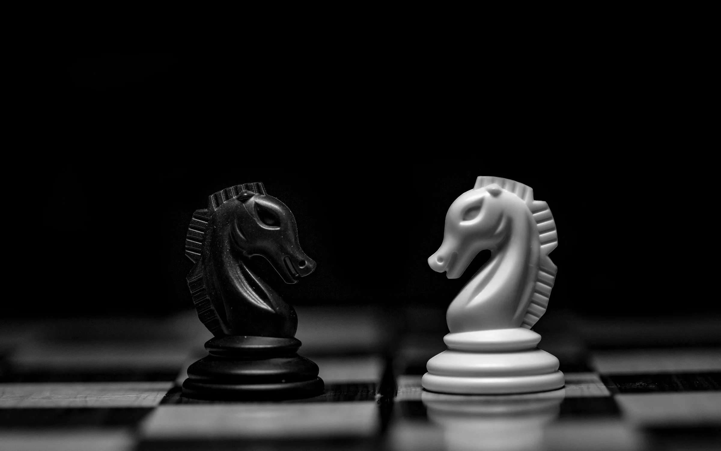 Consulting industry: digital products by Alpha Expansion