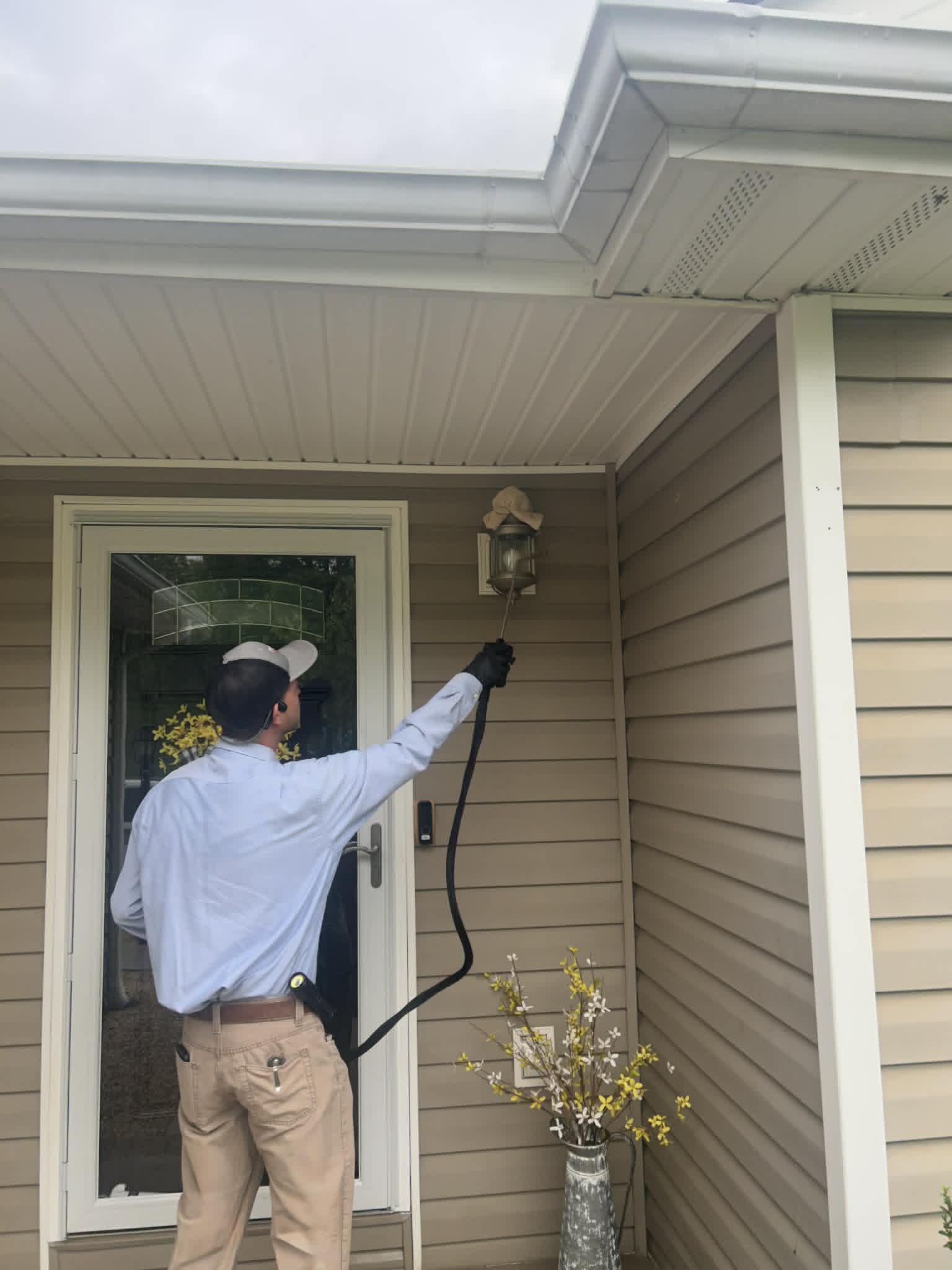 Pest Detective Pest Control in Johnson City TN