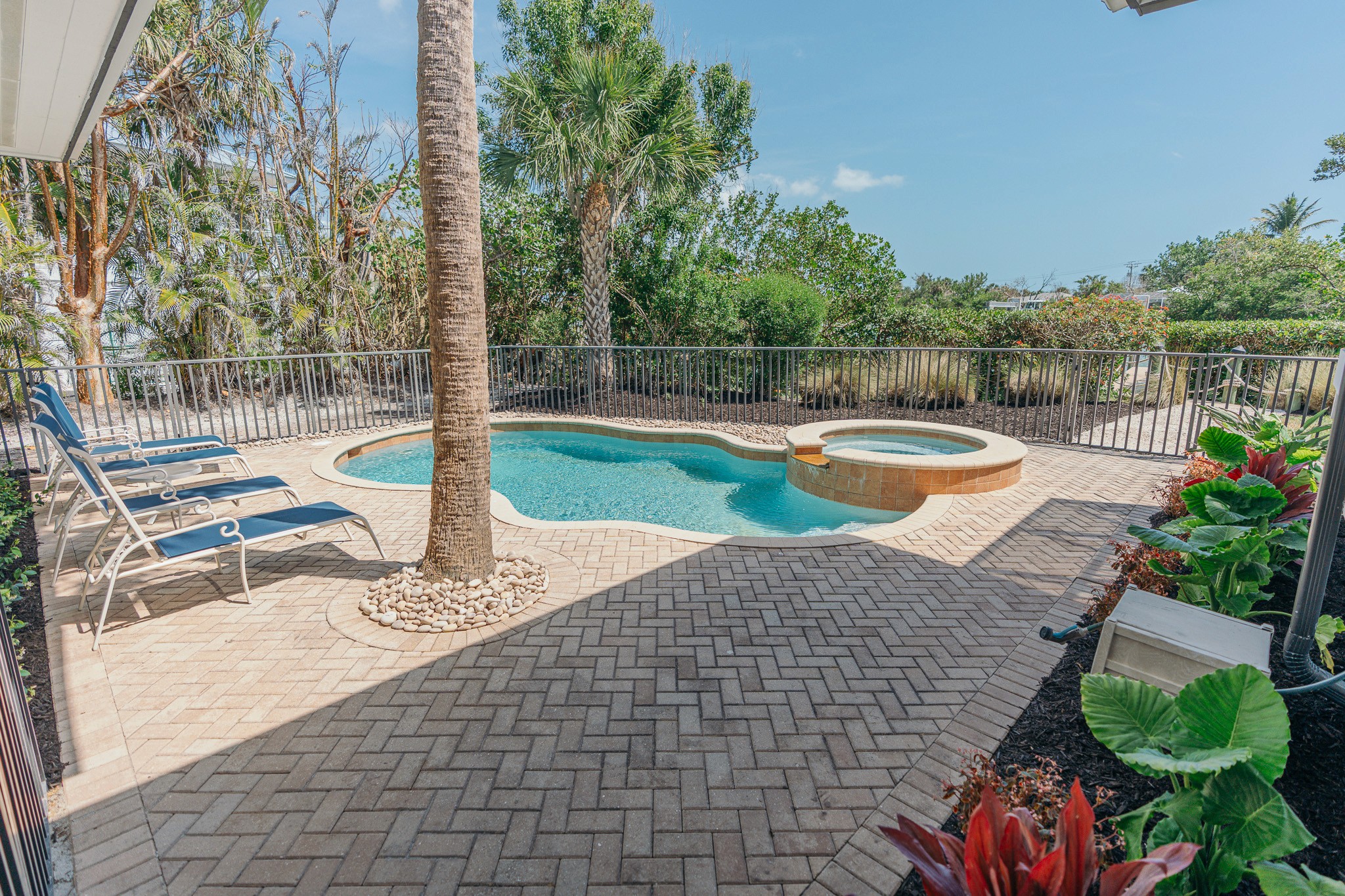 Backyard pool landscape swfl