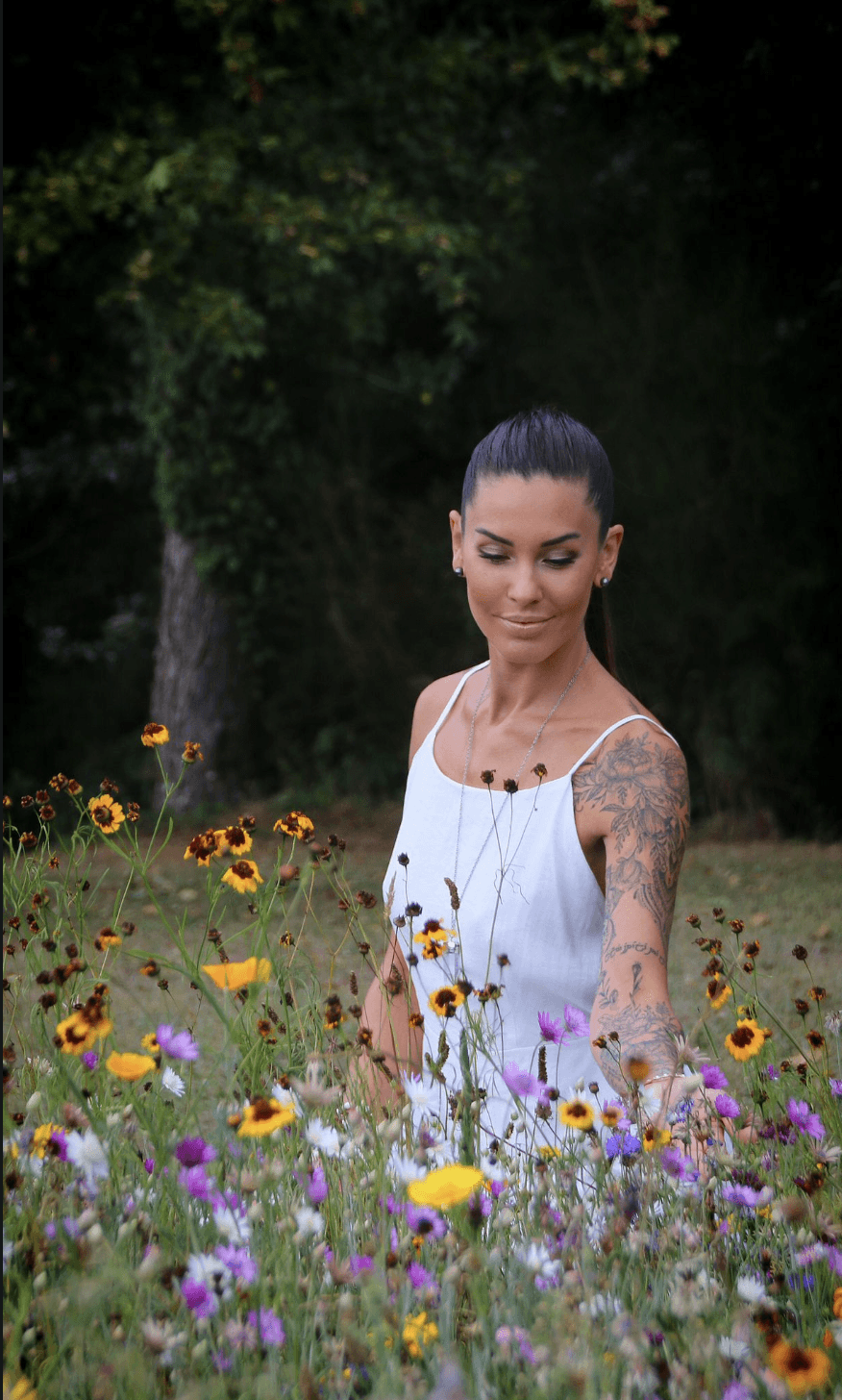 Cozy reading nook with sofa, chair, and plants inside a glass cabin with mountain forest views.