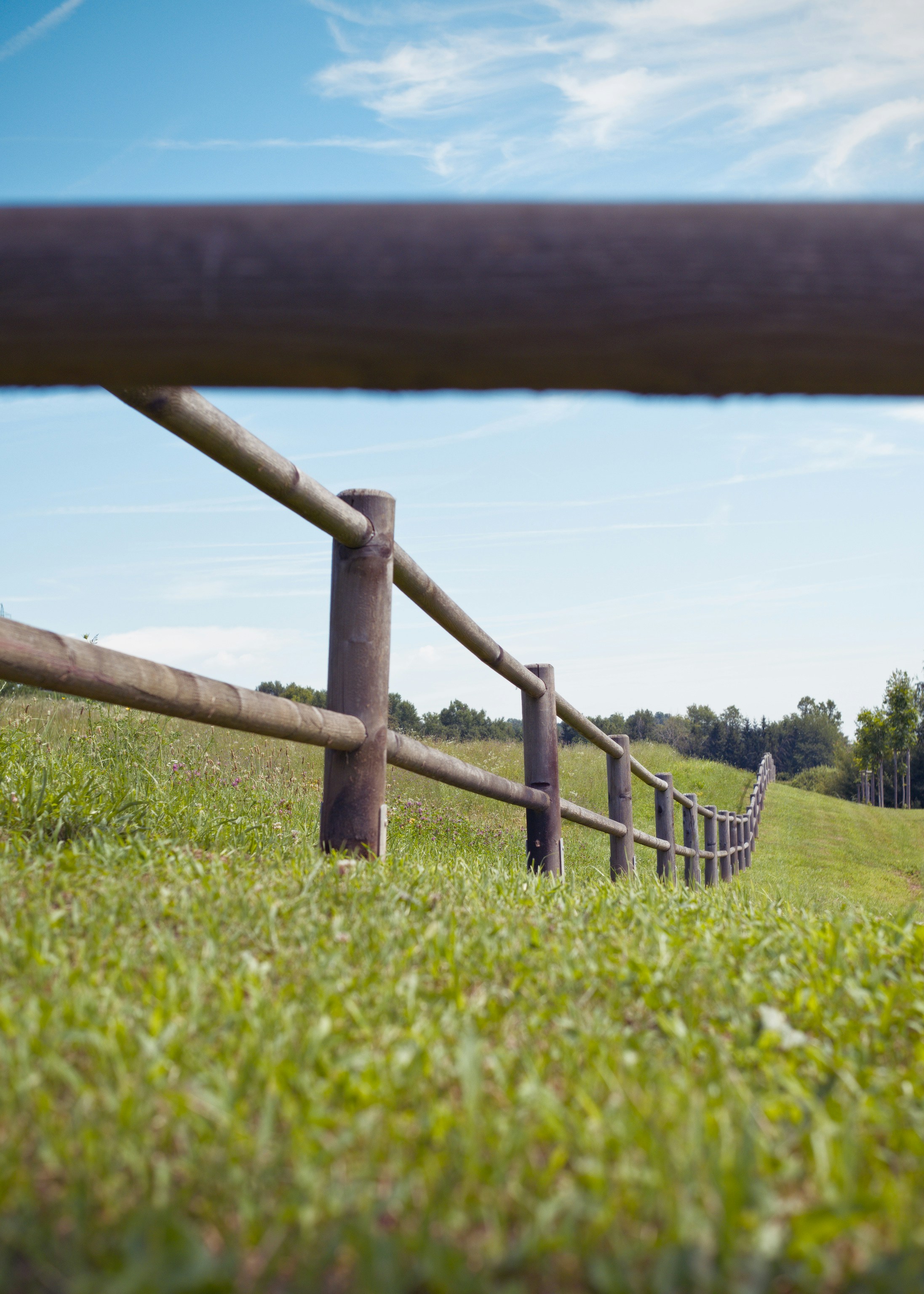 A wooden fence in a grassy field with trees in the background