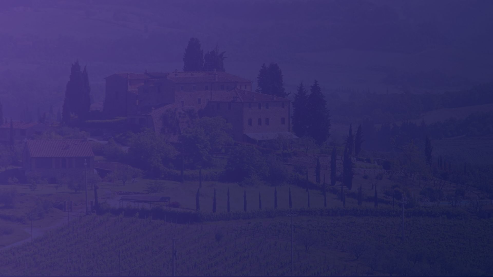 fine wine investing