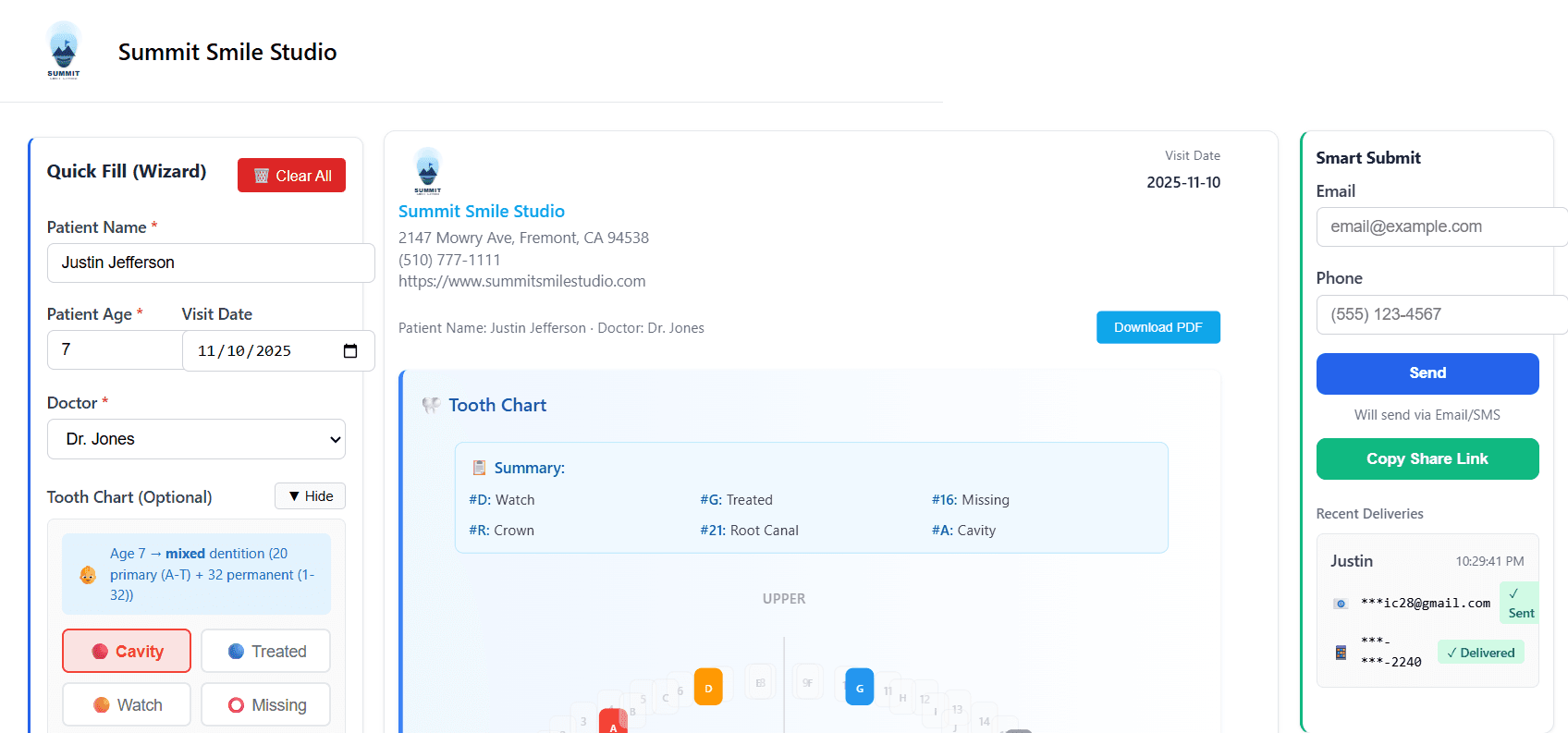 Brievi visit summary report interface screenshot