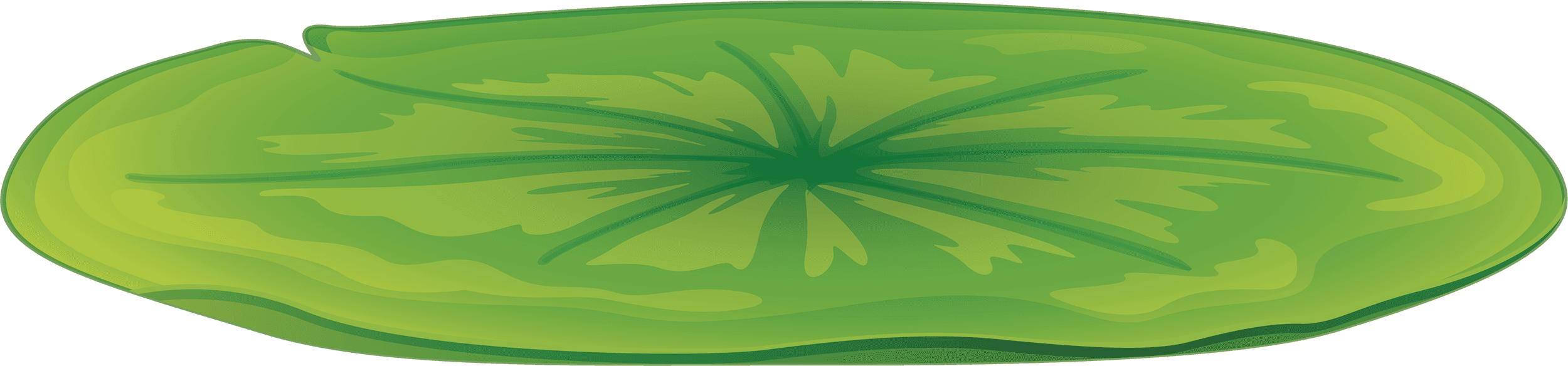 Lily Pad