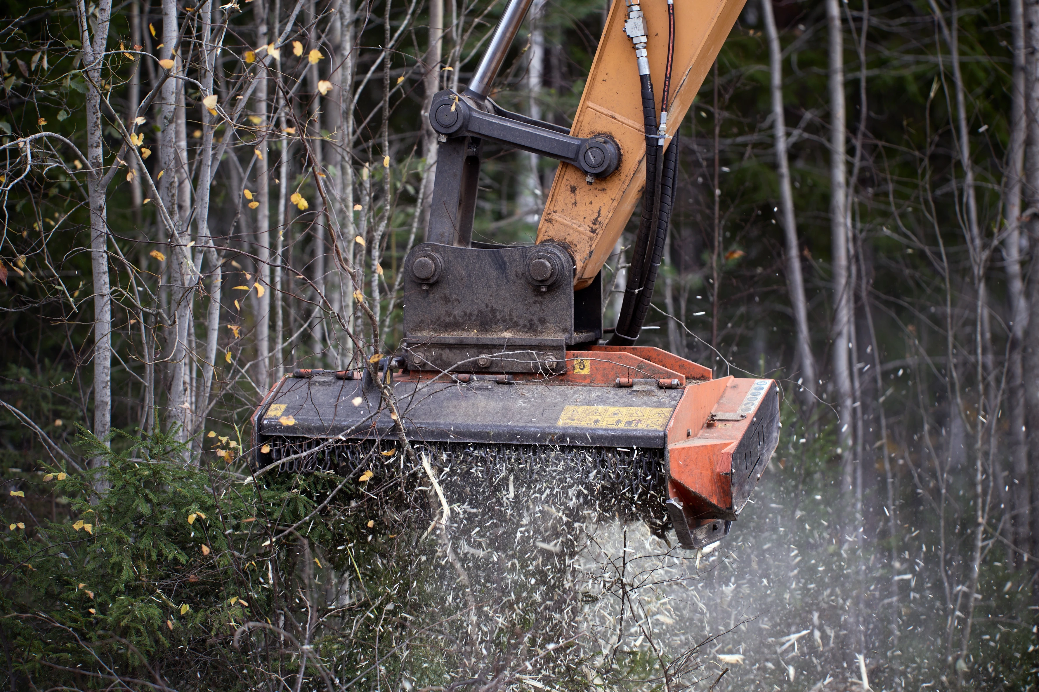 A large, orange forestry mulcher attached to an excavator arm is clearing brush and small trees in a forest. Debris and dust are flying up as the machine cuts through the vegetation.