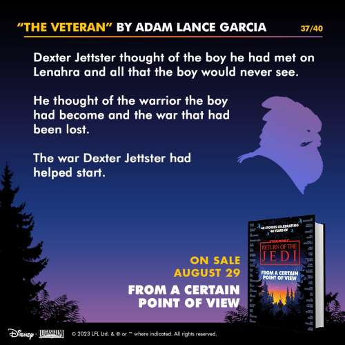 The Veteran excerpt