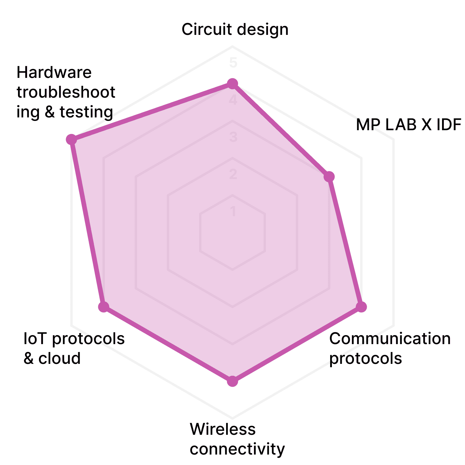 Aneek Electronics skills