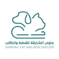 تسعة أرواح