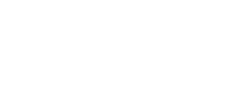 Logo Check Point