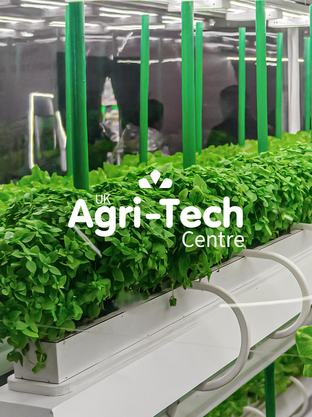 Agri-Tech Logo Design and Branding